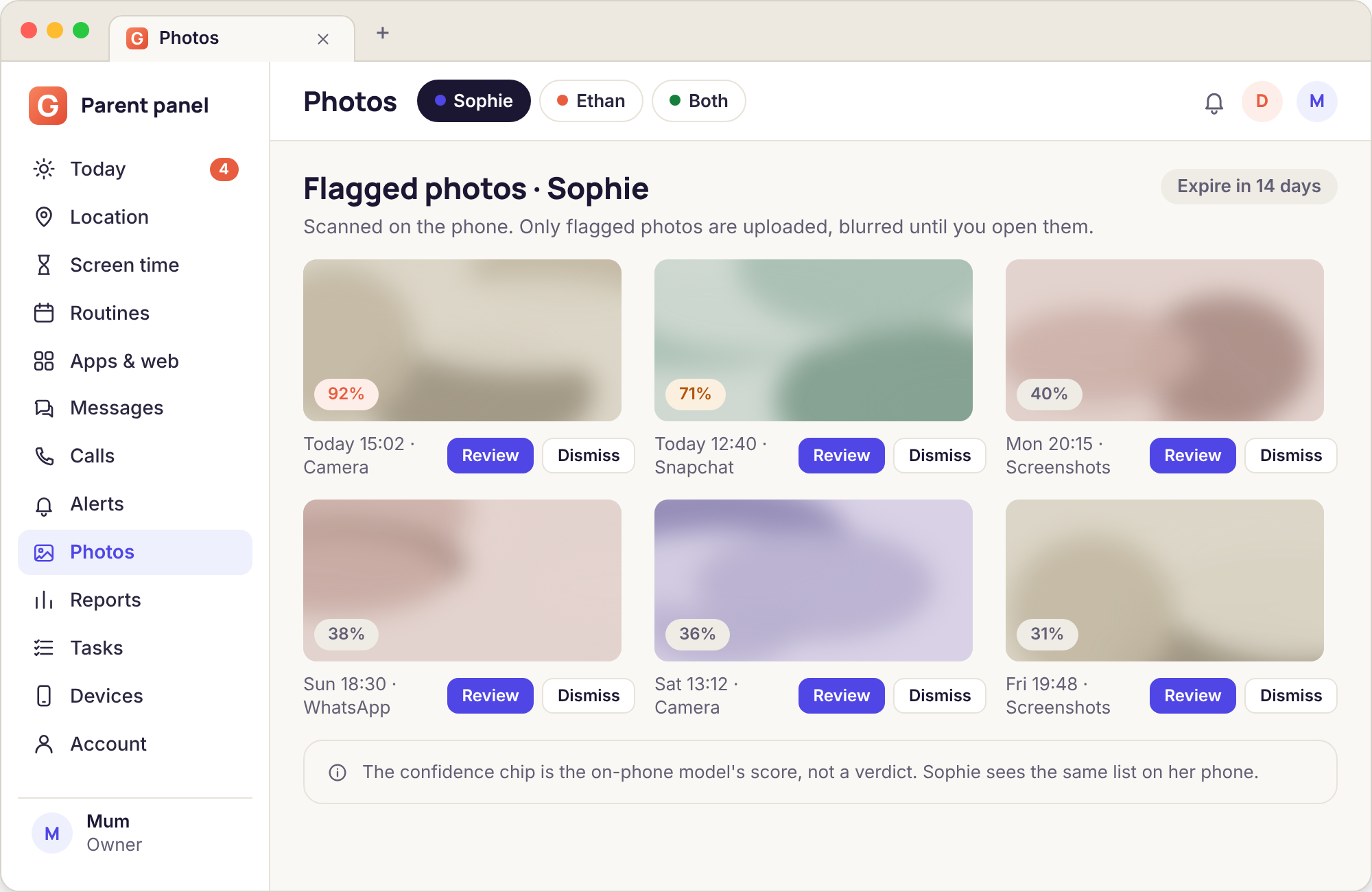 Flagged photos page with blurred thumbnails, a confidence score on each and a 14-day expiry note