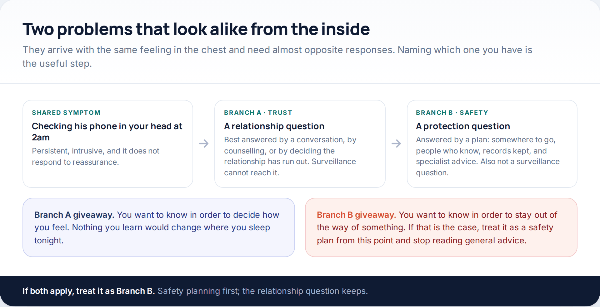 Flow diagram separating a trust question, answered by conversation or counselling, from a safety question, answered by a plan, records and specialist advice